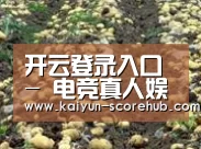 种植基地七