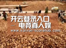 种植基地二