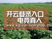 种植基地五