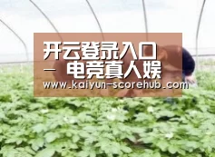 种植基地三
