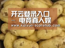 产品展示标题6