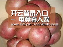 产品展示标题1