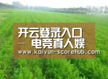 种植基地四