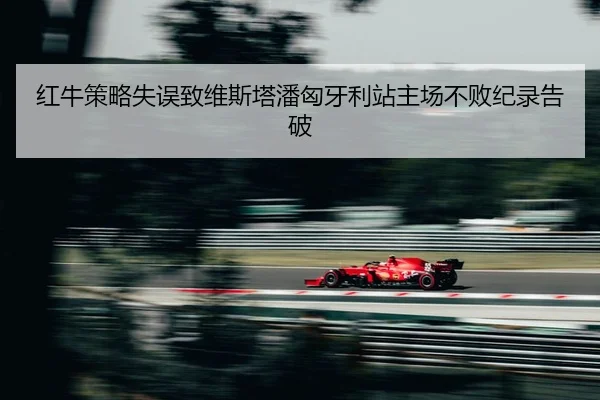 hong-niu-ce-lve-shi-wu-zhi-wei-si-ta-pan-xiong-ya-li-zhan-zhu-chang-bu-bai-ji-lu-gao-po-2-465.jpg