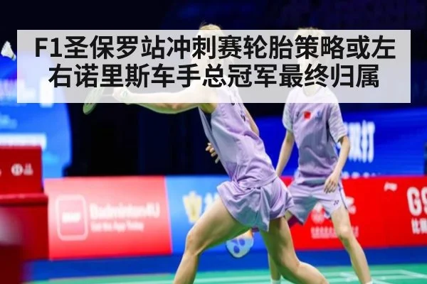 F1圣保罗站冲刺赛轮胎策略或左右诺里斯车手总冠军最终归属